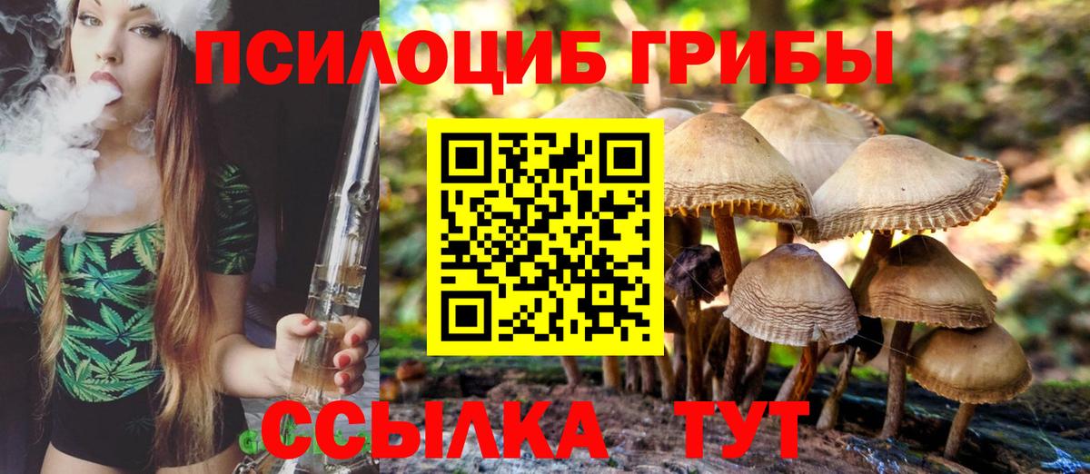 Псилоцибиновые грибы Psilocybine cubensis Сланцы